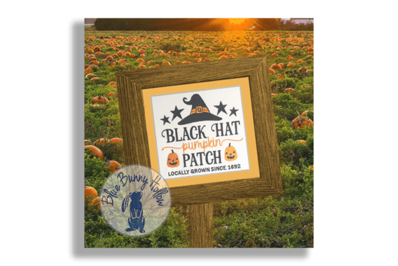 Black Hat Pumpkin Patch, Locally Grown